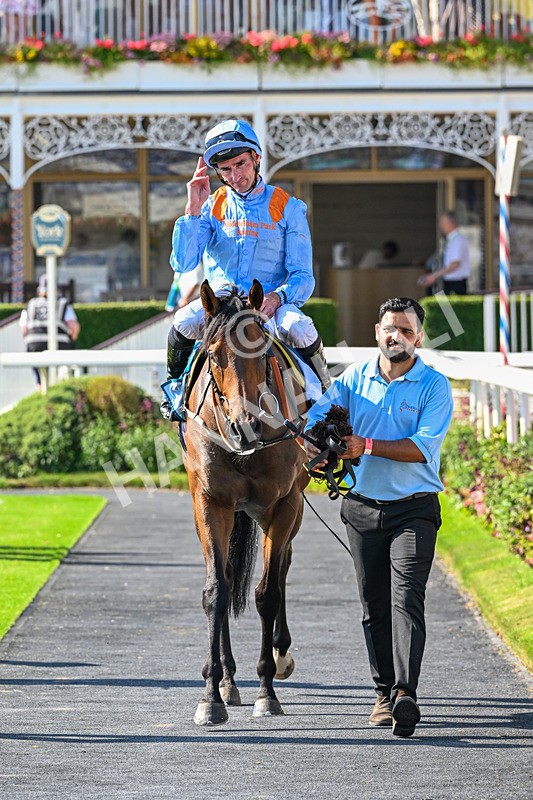 100726-Race 6-Ziggys Triton-0754 - Race 6 17.05pm William Hill Keep Your Raceday Positive Handicap