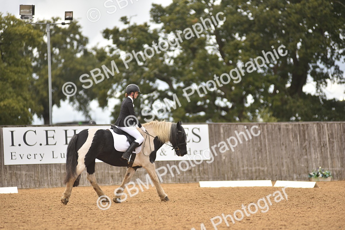 SBM_42545 - D22 - Junior Championship Intro 3