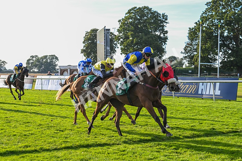 160924-Race 8-Sparkling Red-3380 - Race 8