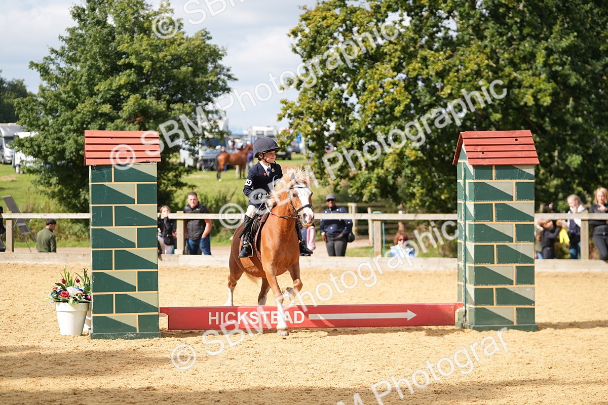 SBM_64511 - J2 - Mini Tour Junior Pony 30cm Championship