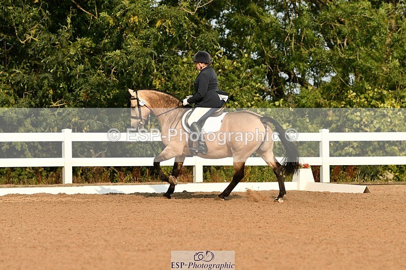 250817-092226-06887 - 082-Sarah.DavisWinston.Classic.Gold