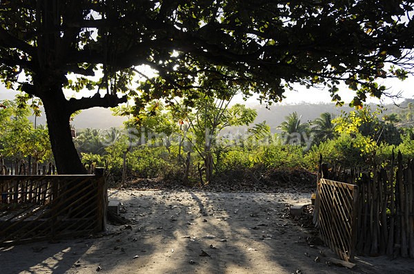  - East Timor