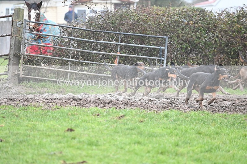 WJ6_6546 - A Camera