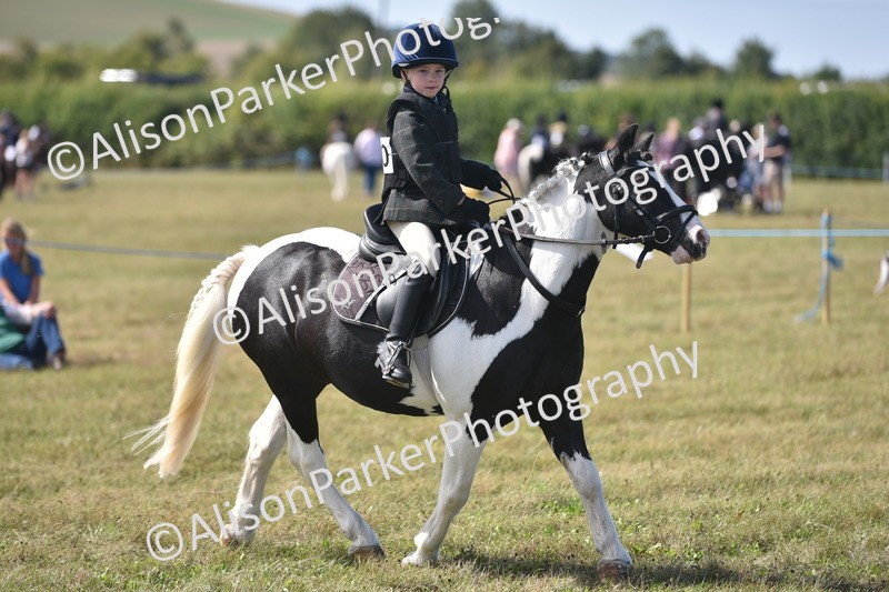 20260906-1782 - Class 11 - 13hh and Under