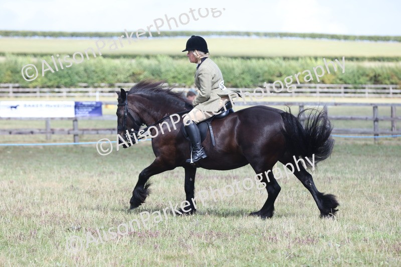 20250831-2954 - Class 19 - Mountain and Moorland