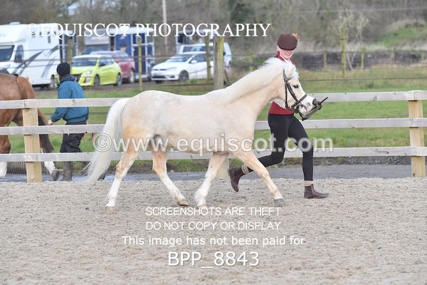 BPP_8843 - RING 2 - M&M