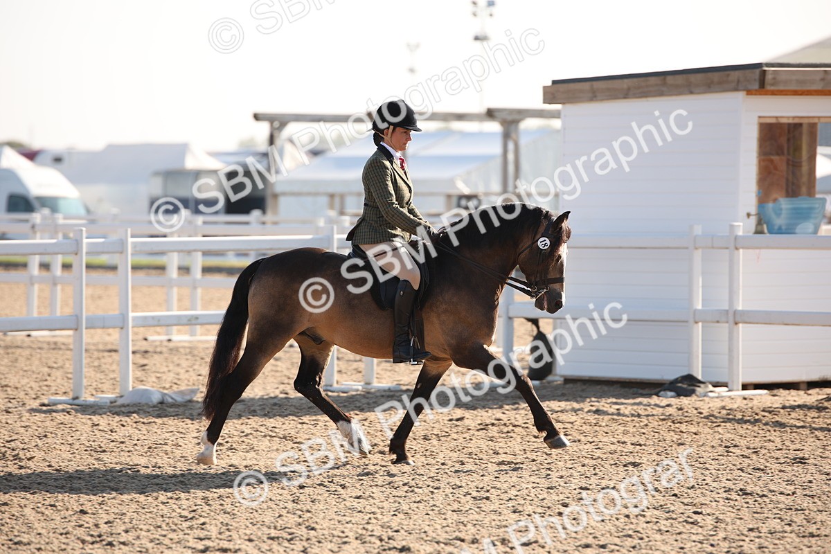 SBM_00620 - Class 14 Ridden M&M Wildcard