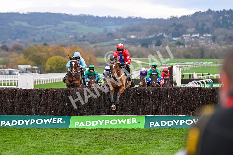 161124-Race 4-Editeur Du Gite-0380 - Race 4