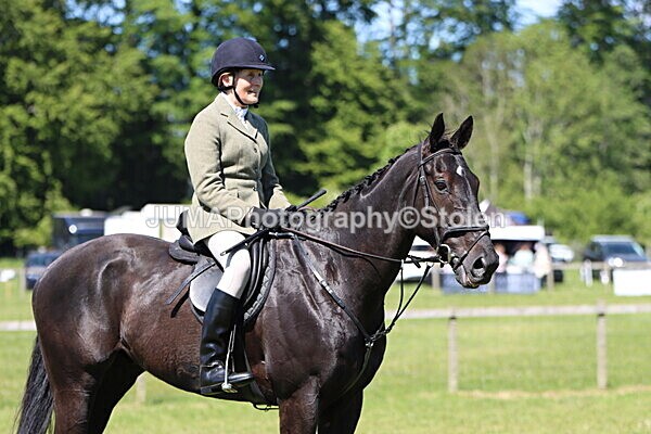 IMG_4149 - Working Hunter