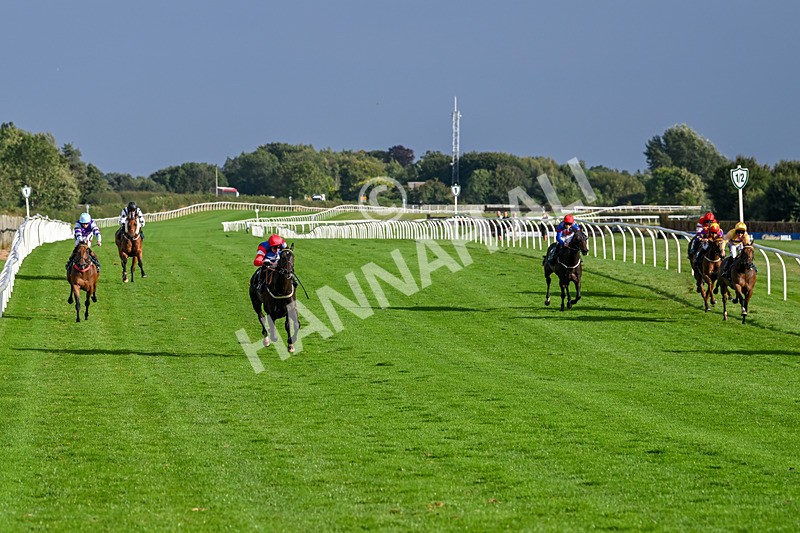 280824-Race 7-Crocodile Power-5050 - Race 7