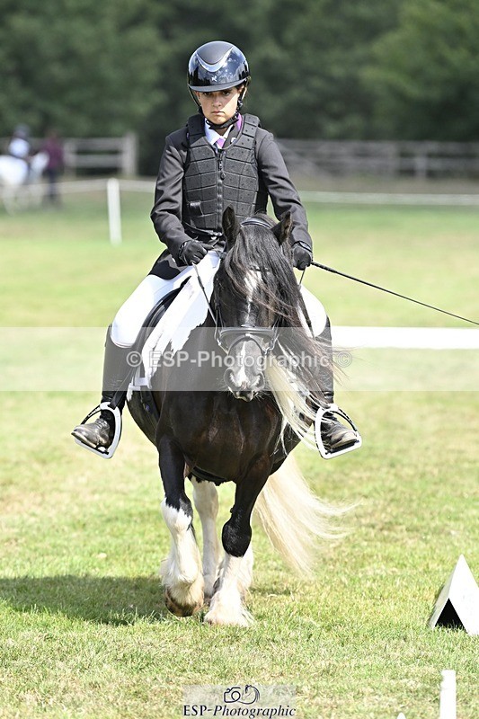 250821A-114233-15295 - DR 11.00 to 12.00