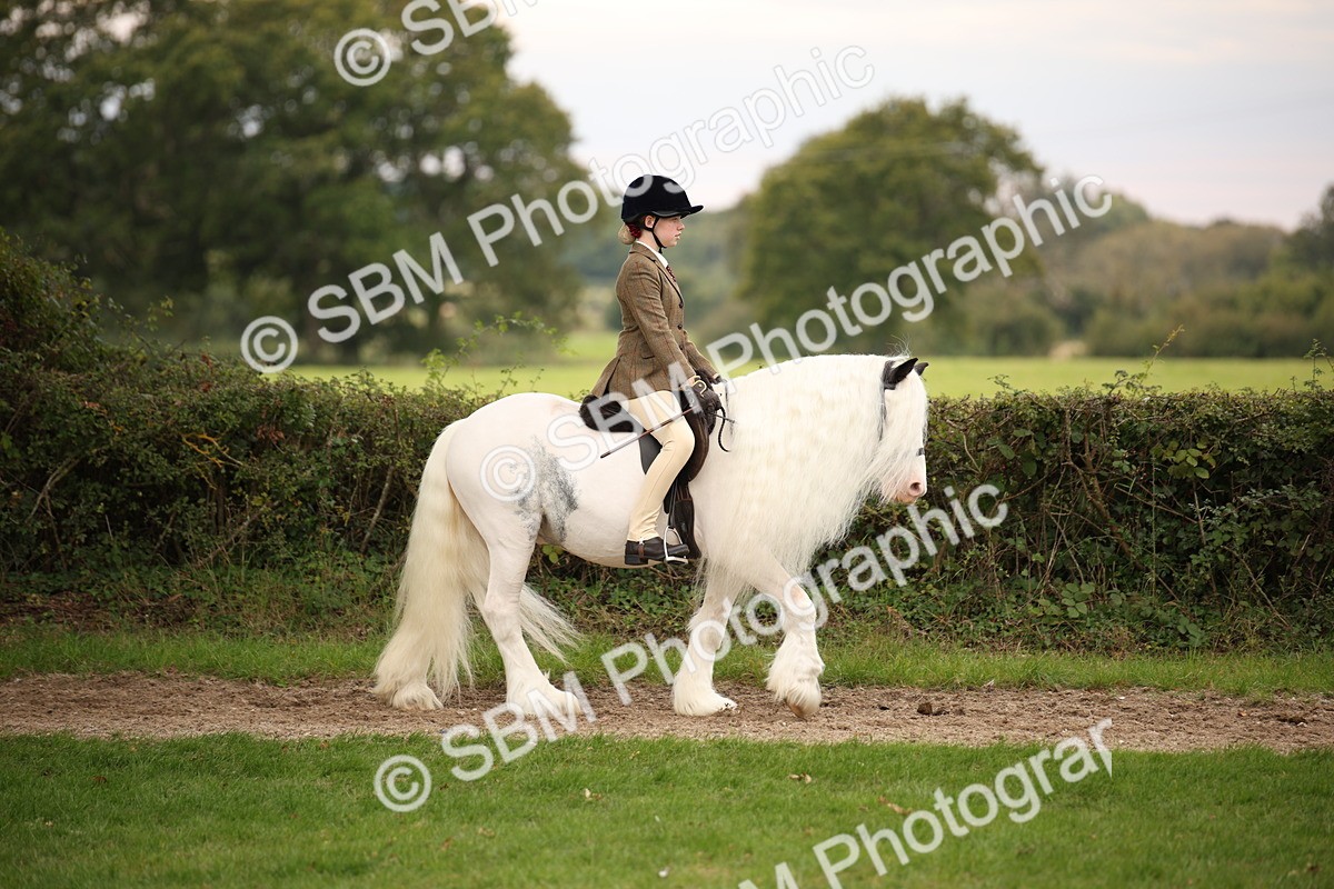 SBM_73409 - S68 - Traditional Cob Ridden