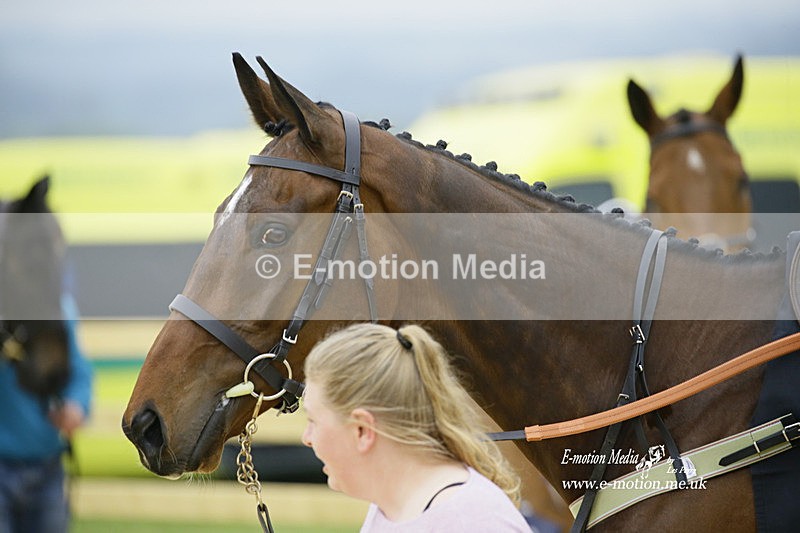 PtP 020522 481 - Mollington Races Point-to-Point 02/05/22