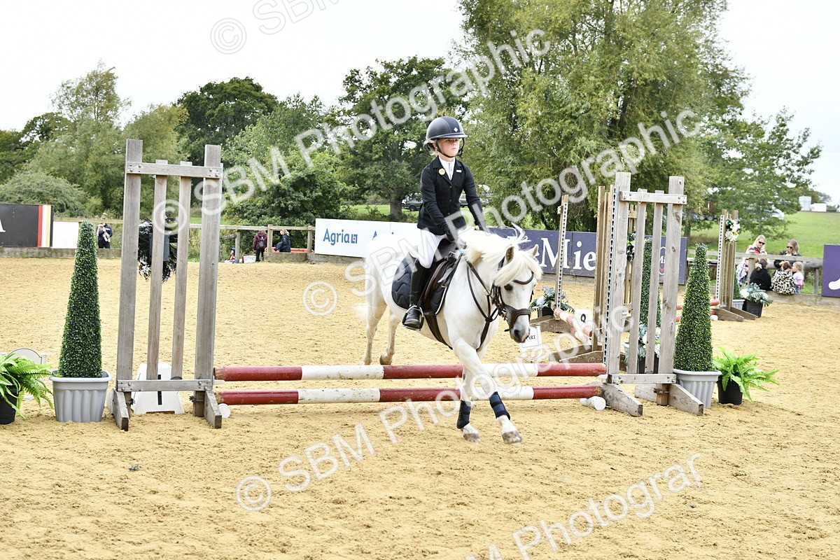 SBM_65403 - J2a mini Tour Junior Pony 30cm Championship