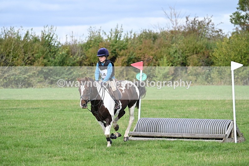 WJ7_8407 - 60cm Pairs