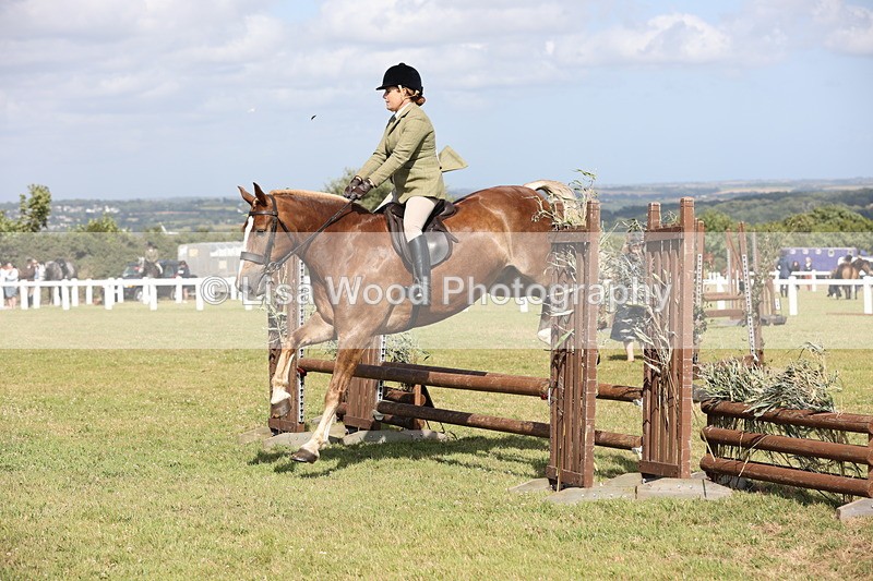 JPP_2518 - Class 20: Working Hunter 70cm