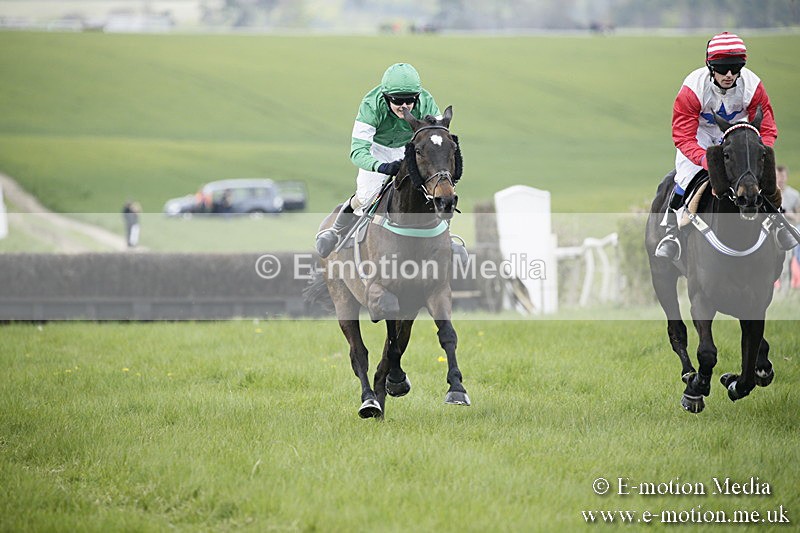 PtP 170417 27 - Old Berks Point-to-Point Lockinge 17/04/17