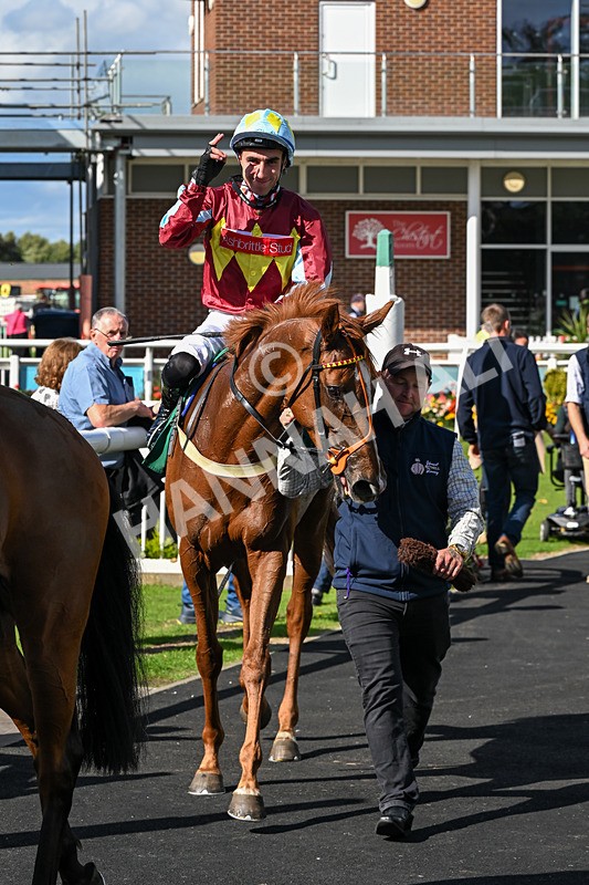 140926-Race 1-Satyress-6675 - Race 1 2.21pm Constant Security Services Apprentice Handicap