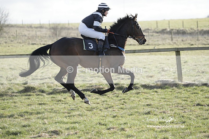 PtP 260223 1145 - South & West Wilts Point-to-Point Larkhill 26/02/23