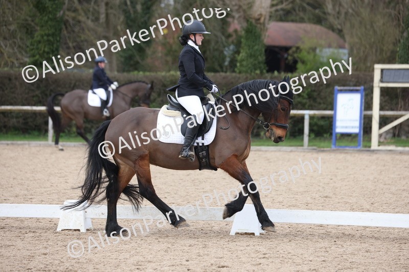 20260301-0947 - Class 6 - Elementary 5