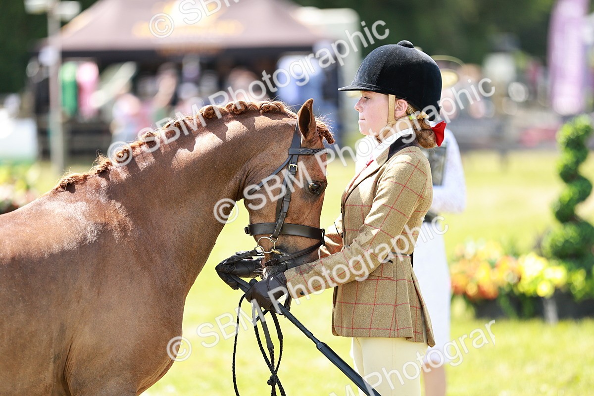 SBM_15684 - Class 108-109 - BSPS LIHS Open Gradle & Nursery Stakes