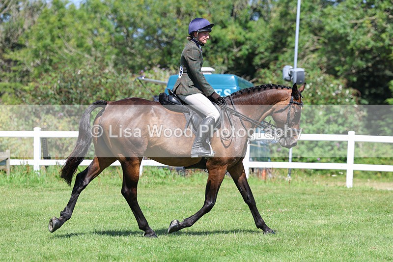 3E7A8943 - Class 6: Open Working Horse