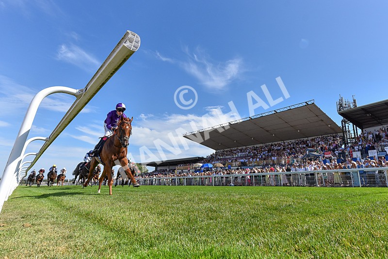 120826-Race 2-Empire Rising-4854 - Race 2 14.45pm 911 At Porsche Centre Hull EBF Restricted Maiden Stakes