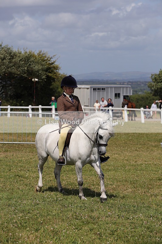 1X9A5440 - Class 37: NPS M&M First Ridden