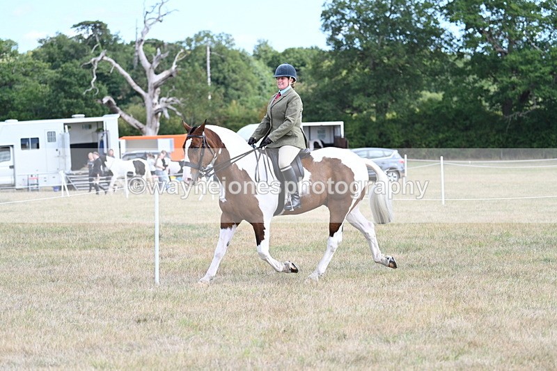 WJ7_6936 - Class 14 Ridden Coloured