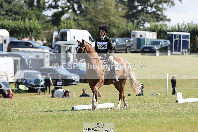 240824X-114839-26986 - D80 Section G and H 11.00 to 12.00