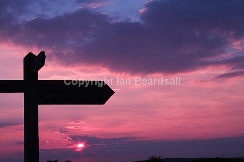 IMG_4320 - Essex