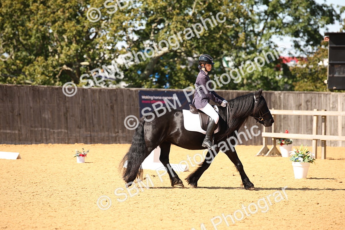 SBM_24166 - D5 - Small Tour Championship - Intro C