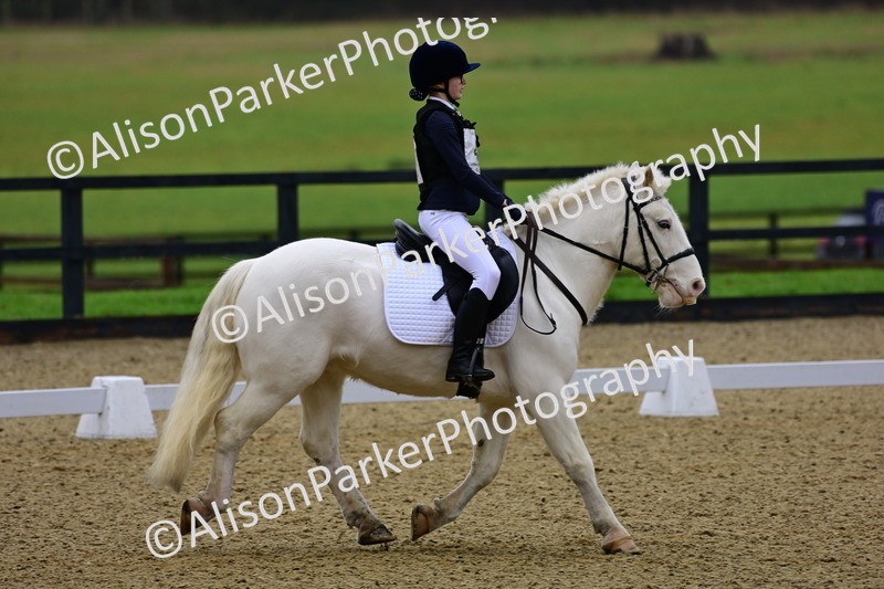 20260125-0583 - Class 9b - Walk Trot Unassisted