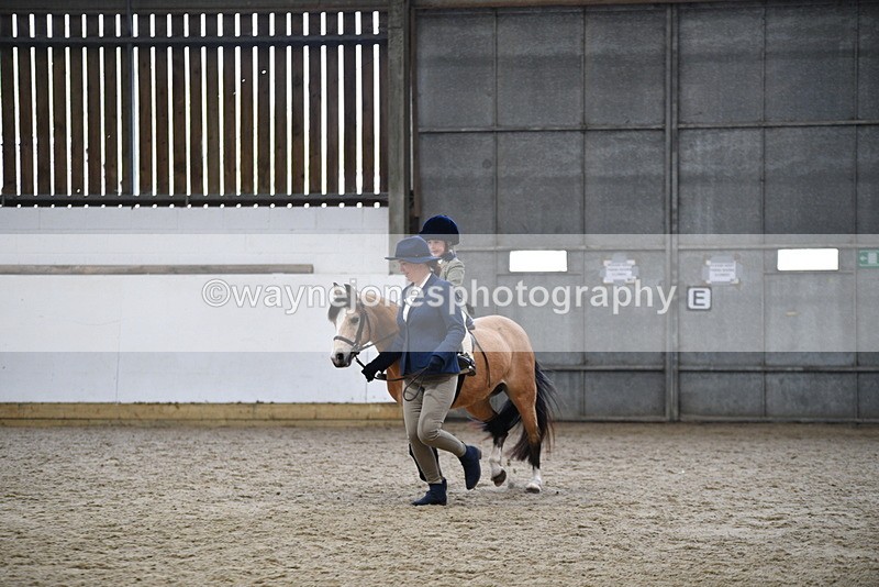 WJ5_6735 - Class 10 Childs Pony