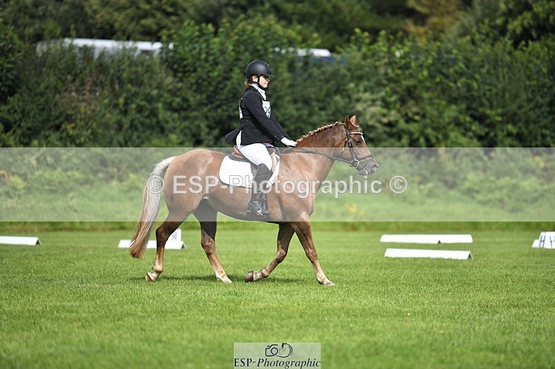 230826-104852-15616 - Sections C & D 10 to End