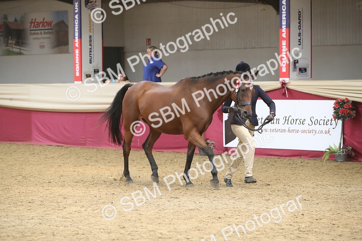 SBM_05538 - Class 9R - Regional IH Pre-Vet