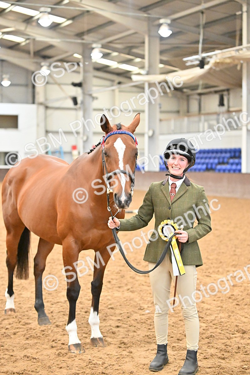 SBM_000163 - Class 6 - BSHA In Hand Racehorse to Show Horse