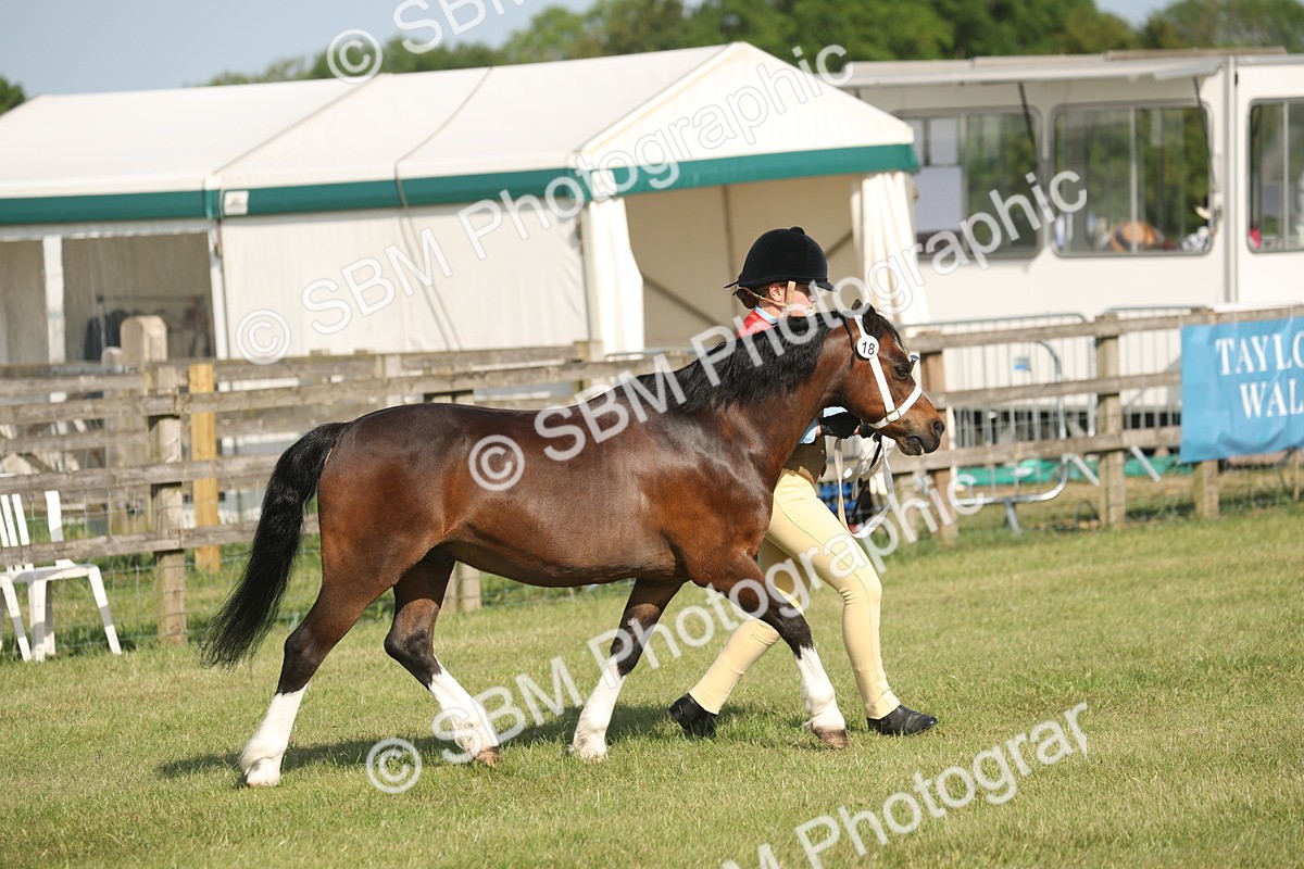 SBM_10309 - Class 33-38 - SSADL RIHS Qualifiers