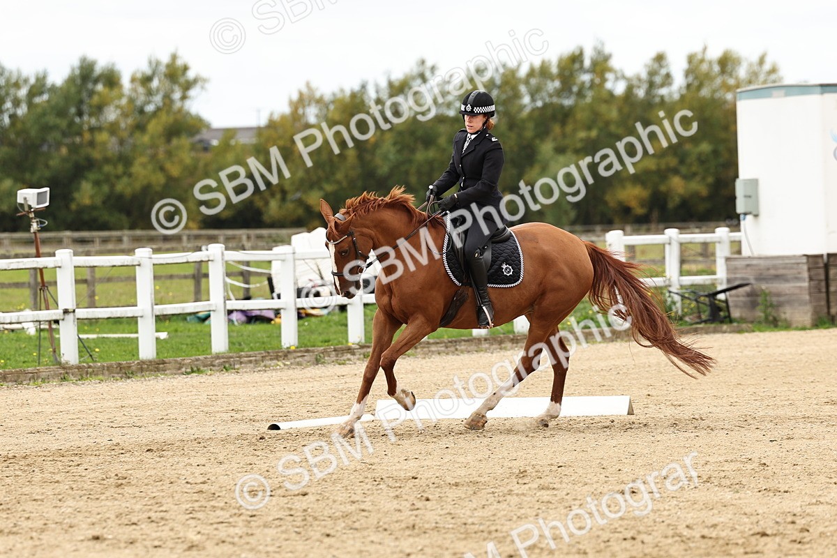 SBM_004577 - Class 69 - Novice 2