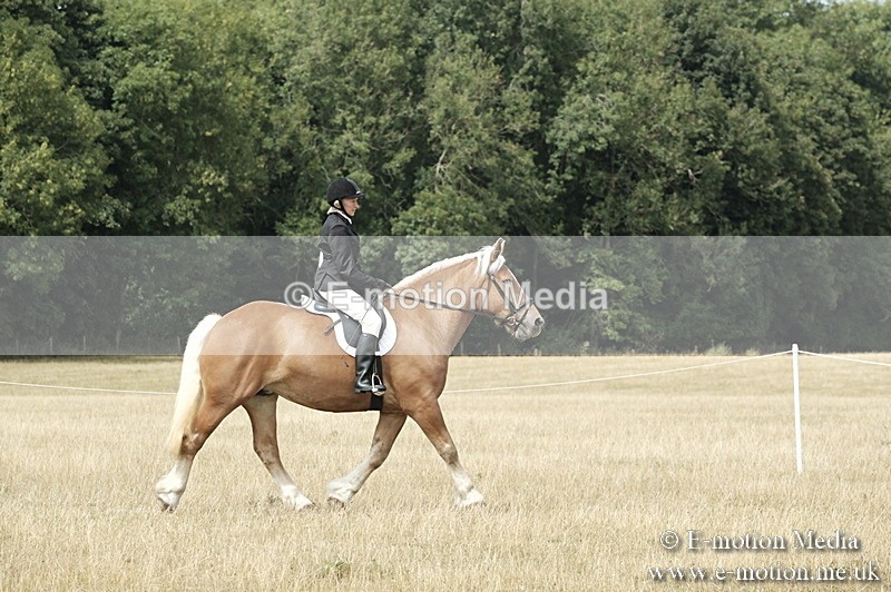 _PJP6055 - BVRC Show 2018 Ring 1