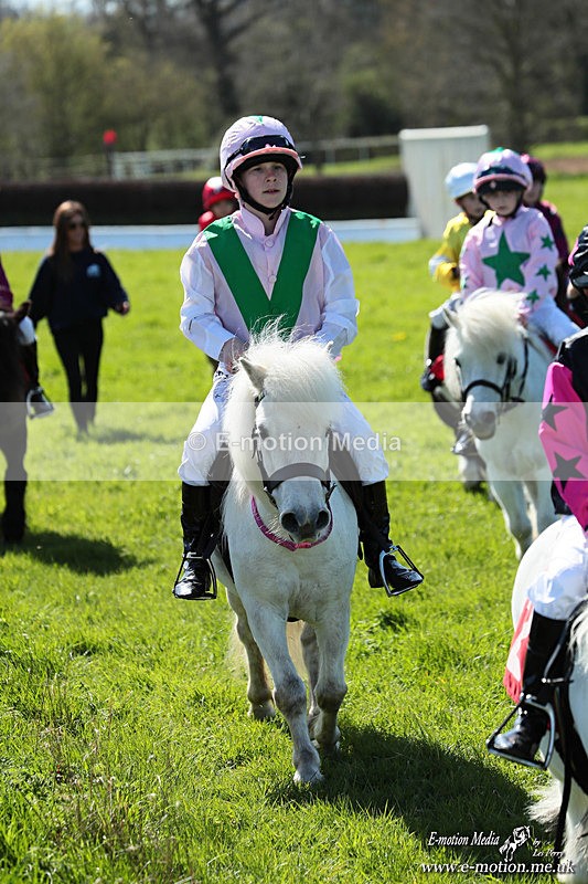 Shet 060426 220 - Shetland Pony Racing Paxford Races Easter Mon 06/04/26