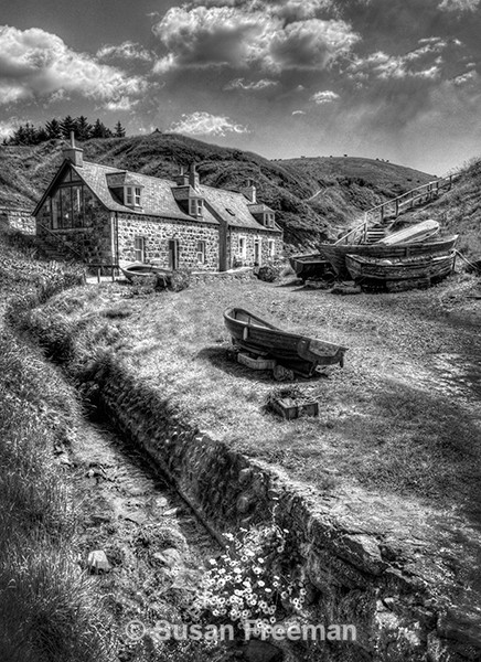 Crovie - Monochrome