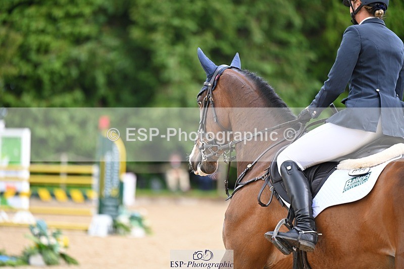 240526-155153-25140 - 214-DSH_GOLDEN_EYE-Lucinda_Mesquita