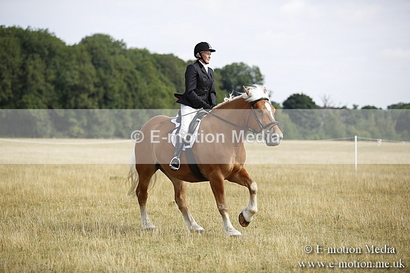 _C7A9313 - BVRC Show 2018 Ring 1