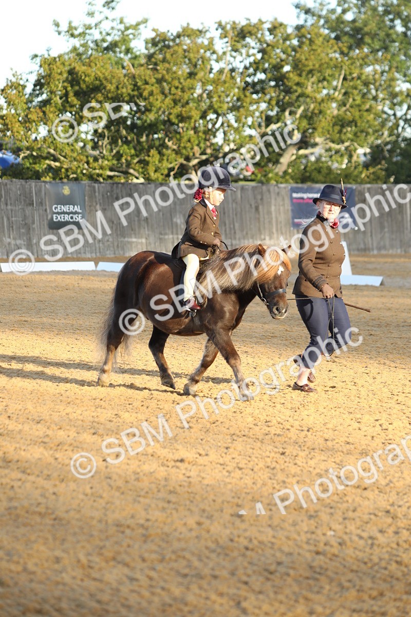 SBM_33531 - D26 - Starers - Lead Rein
