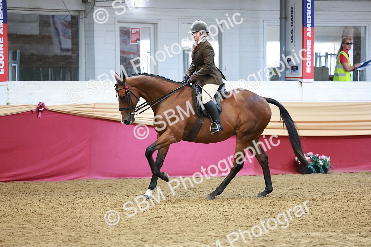SBM_14918 - Class 108 - Ridden Retired Racehorse
