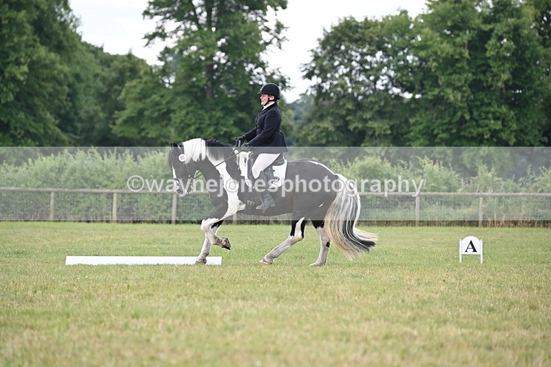 WJ6_6639 - Time 10:30 to 11:16