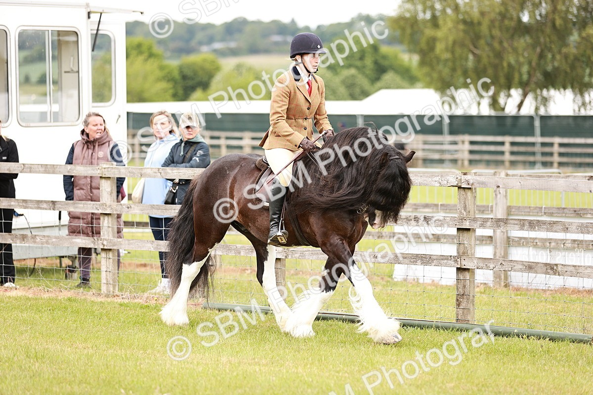 SBM_06099 - Class 39-41 TGCA In Hand and Ridden