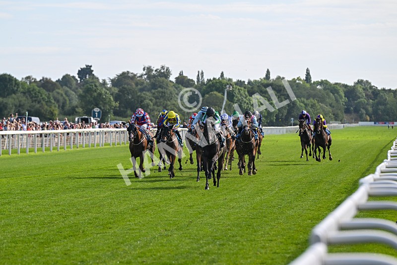 060926-Race 4-Stoneacre Donny-7993 - Race 4 3.15pm Saltmoore Collection Handicap