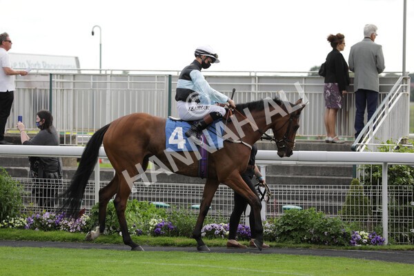 yr11062021r7-2 - Race 7 5.05pm SASH Charity Stakes